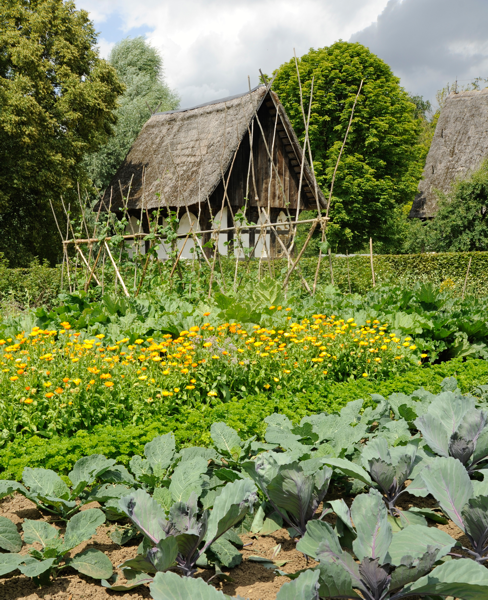 Fachgruppe Haus- und Hofgartensorten aus Westfalen