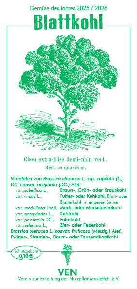 Blattkohl: 2025/ 2026